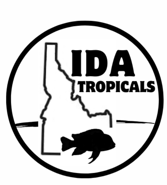 IDA Tropicals 